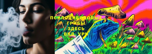 2c-b Медвежьегорск
