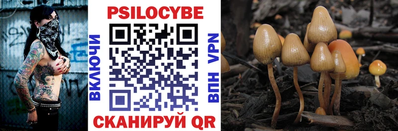 Псилоцибиновые грибы Psilocybe  Спасск-Дальний 