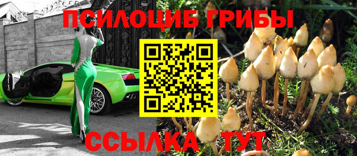 Галлюциногенные грибы прущие грибы Спасск-Дальний