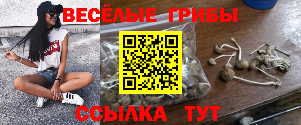 Галлюциногенные грибы Psilocybine cubensis  Спасск-Дальний 