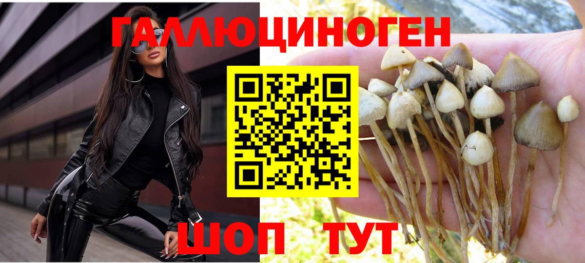 Спасск-Дальний  Галлюциногенные грибы мухоморы  Вход с VPN  Галлюциногенные грибы MAGIC MUSHROOMS 