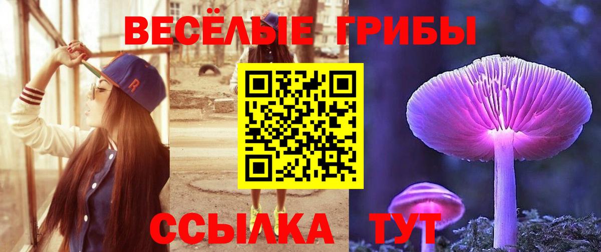 Псилоцибиновые грибы мицелий Спасск-Дальний